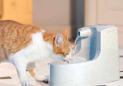 PetSafe Drinkwell Mini Fountain 1.2L – Compact Water Dispenser with Quiet Pump and Filter