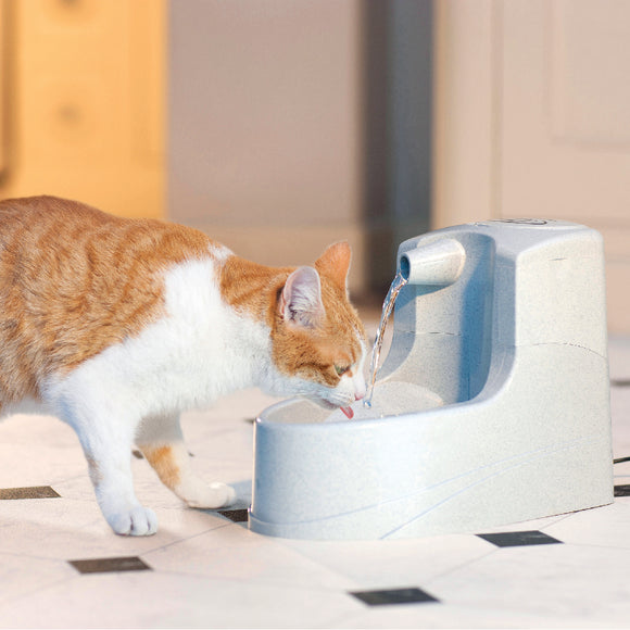 PetSafe Drinkwell Mini Fountain 1.2L – Compact Water Dispenser with Quiet Pump and Filter