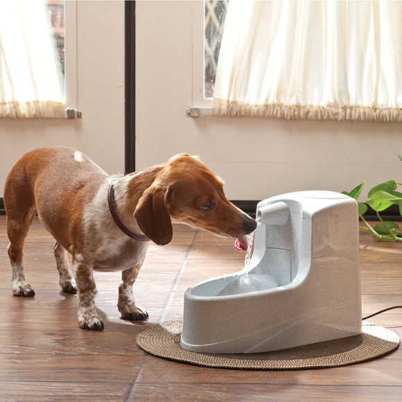 PetSafe Drinkwell Mini Fountain 1.2L – Compact Water Dispenser with Quiet Pump and Filter