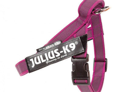 Julius-K9 IDC Color&Gray Belt Harness Pink – Fuchsia Mini-Mini, Adjustable and Durable Design