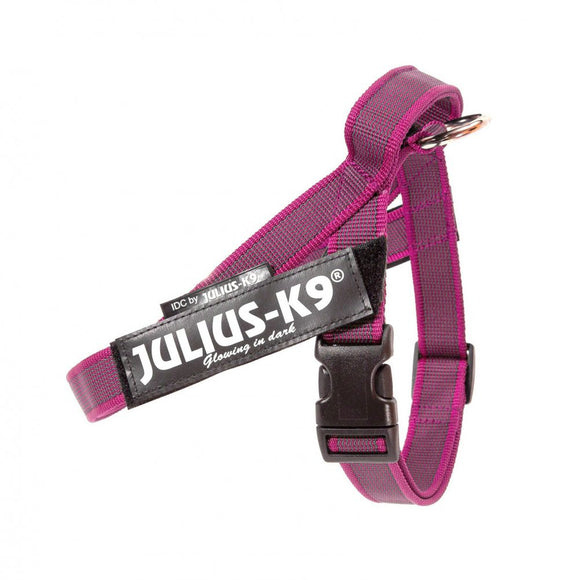 Julius-K9 IDC Color&Gray Belt Harness Pink – Fuchsia Mini-Mini, Adjustable and Durable Design