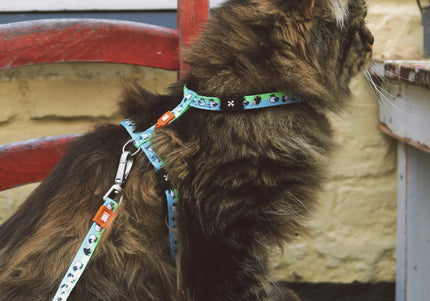 Max&Molly Cat Harness and Leash Set – Adjustable Sheep Pattern, Comfortable Design