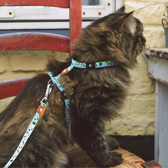 Max&Molly Cat Harness and Leash Set – Adjustable Sheep Pattern, Comfortable Design