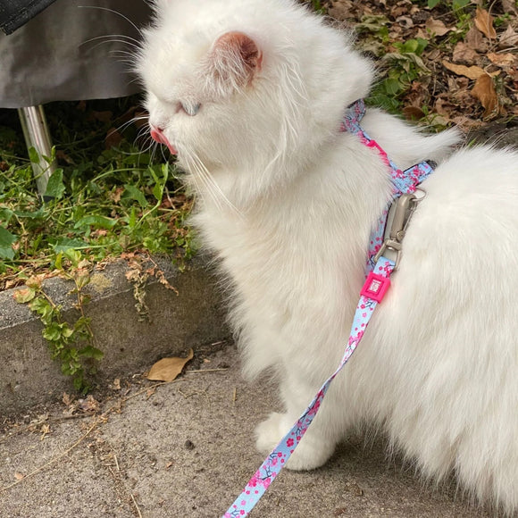 Max&Molly Cat Harness and Leash Set – Cherry Blossom Pattern, Adjustable, Comfortable Fit