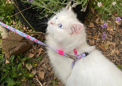 Max&Molly Cat Harness and Leash Set – Cherry Blossom Pattern, Adjustable, Comfortable Fit