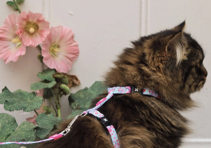 Max&Molly Cat Harness and Leash Set – Cherry Blossom Pattern, Adjustable, Comfortable Fit