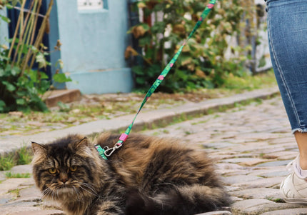 Max&Molly Cat Harness and Leash Set – Adjustable Tropical Leaves Pattern, Lightweight Design