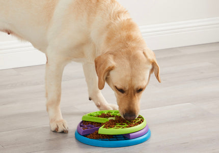 Nina Ottosson Lickin' Layers Puzzle Bowl – Interactive Slow Feeder with Educational Design, Level 2