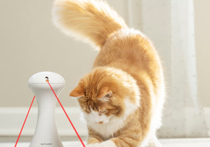 PetSafe Multi-Laser Cat Toy – Automatic Rotating Interactive Play Device