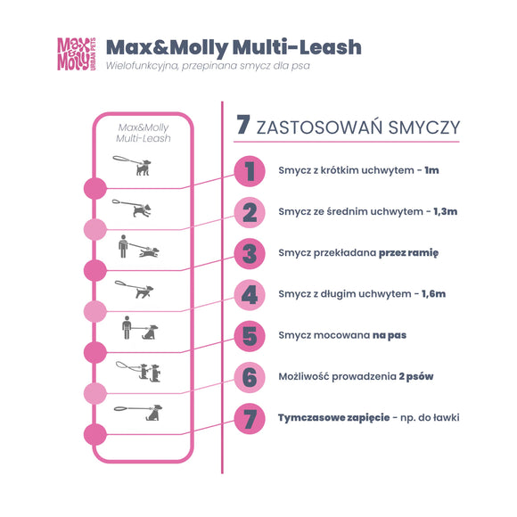 Max&Molly Matrix 2.0 Multi-Function Leash Jade – Reflective Detachable Design, Mint, Medium