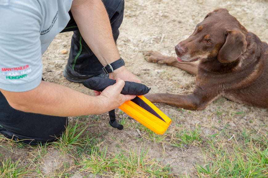 Julius-K9 Multidummie One Hand – Multifunctional Training Tug and Floating Water Toy