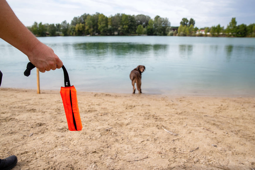 Julius-K9 Multidummie One Hand – Multifunctional Training Tug and Floating Water Toy