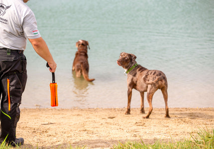 Julius-K9 Multidummie One Hand – Multifunctional Training Tug and Floating Water Toy