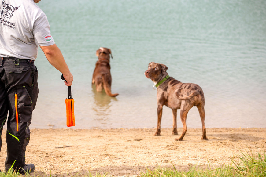 Julius-K9 Multidummie One Hand – Multifunctional Training Tug and Floating Water Toy