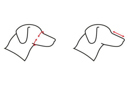 Record Adjustable Dog Muzzle – Durable Plastic Construction, XXXL Size, Secure Fit