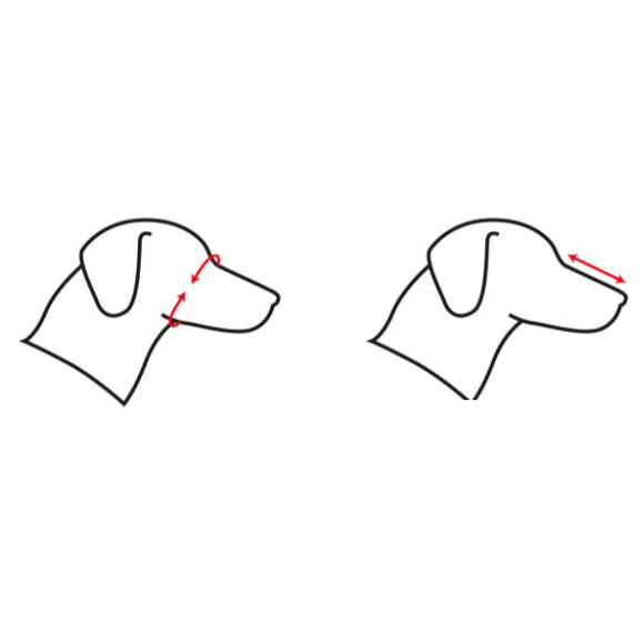 Record Adjustable Dog Muzzle – Durable Plastic Construction, XXXL Size, Secure Fit