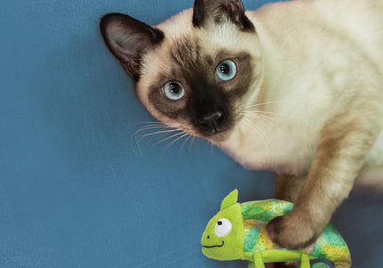 KONG Cat Refillables Catnip Hummingbird – Shiny Plush Toy with Refillable Catnip Pouch