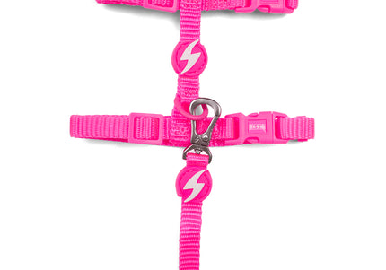 Dashi Neon Pink Cat Harness and Leash Set – Durable Nylon, Adjustable, Vibrant Color