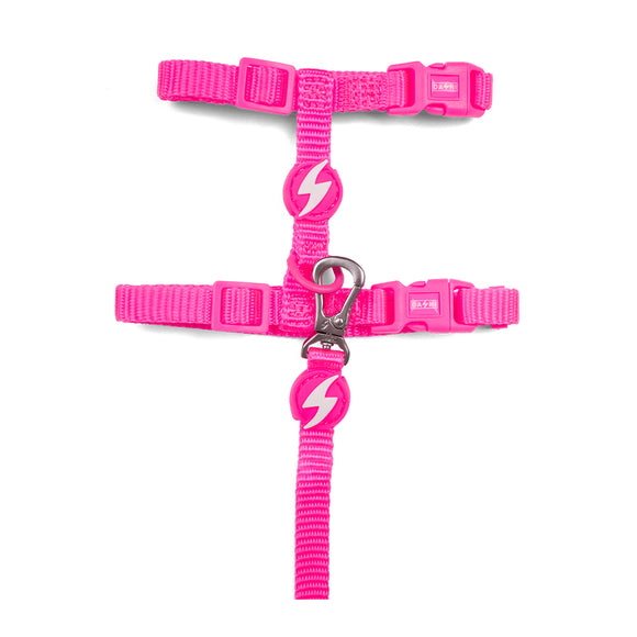 Dashi Neon Pink Cat Harness and Leash Set – Durable Nylon, Adjustable, Vibrant Color