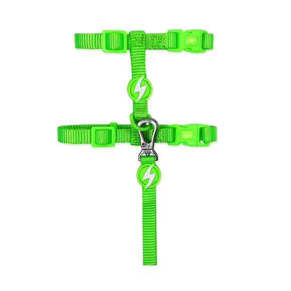 Dashi Neon Green Cat Harness and Leash Set – Durable Nylon, Adjustable, High-Visibility Design