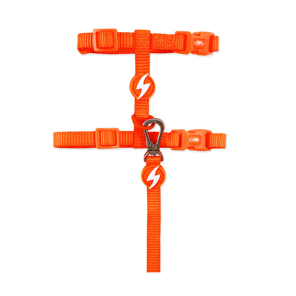 Dashi Neon Orange Cat Harness and Leash Set – Durable Nylon, Vibrant Color, Adjustable Fit