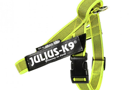 Julius-K9 Color&Gray Belt Harness Neon – Adjustable Mini Size, High-Visibility Design