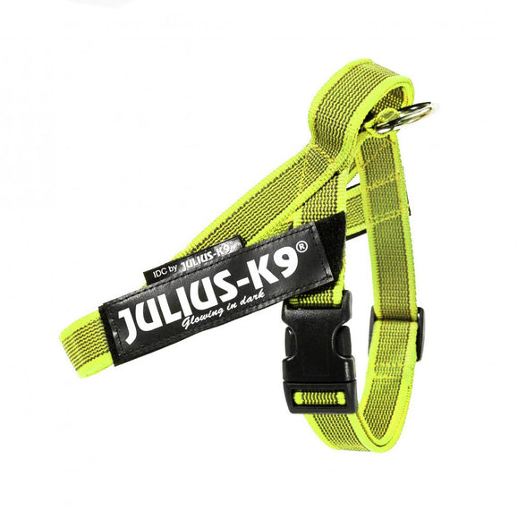 Julius-K9 Color&Gray Belt Harness Neon – Adjustable Mini Size, High-Visibility Design