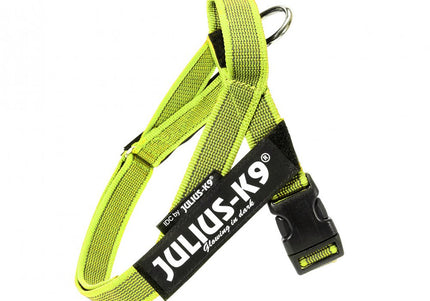 Julius-K9 Color&Gray Belt Harness Neon – Adjustable Mini Size, High-Visibility Design