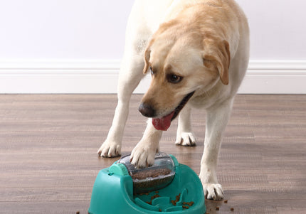 Nina Ottosson Dog Spin N' Eat Puzzle Bowl – Interactive Slow Feeder with Educational Design, Level 2