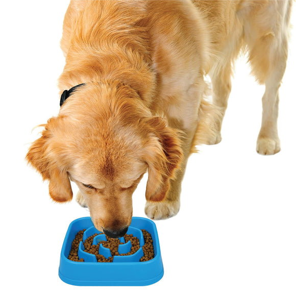 Dexas Slow Maze Feeder 946ml – Blue Anti-Gulping Bowl with Maze Design, Promotes Healthy Eating