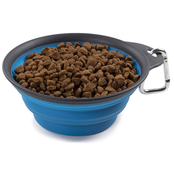 Dexas Collapsible Travel Cup – Compact Silicone Design with Integrated Bottle Holder, Fuchsia