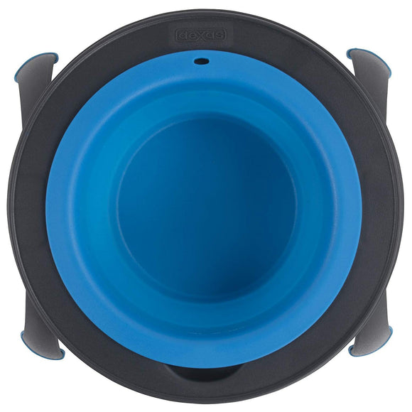 Dexas Popware Collapsible Raised Feeder 946ml – Foldable Elevated Dog Bowl, Fuchsia, Space-Saving Design