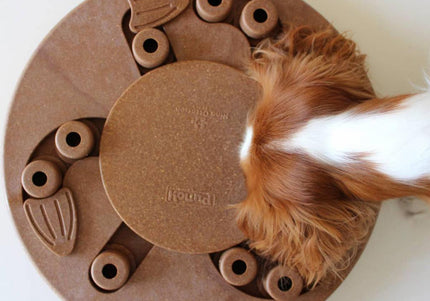 Nina Ottosson Dog Worker Level 3 Puzzle – Interactive Educational Game, Advanced Challenge