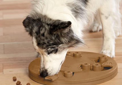 Nina Ottosson Dog Worker Level 3 Puzzle – Interactive Educational Game, Advanced Challenge