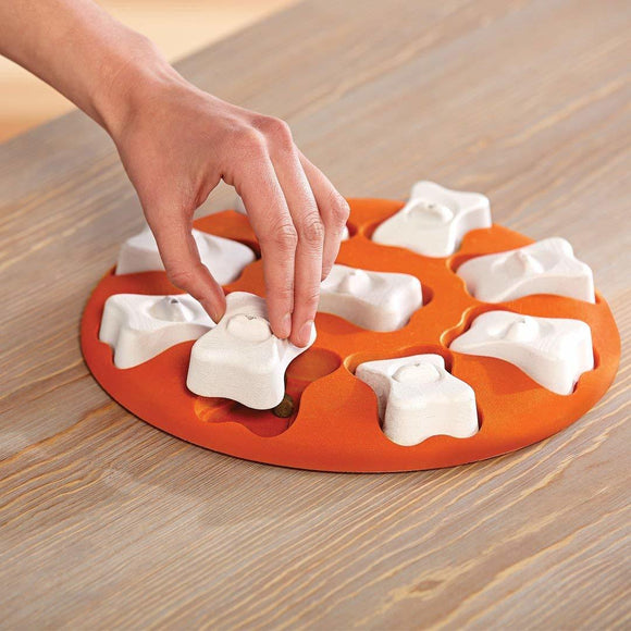 Nina Ottosson Dog Smart Level 1 Puzzle – Easy Interactive Treat-Dispensing Game, Durable Design