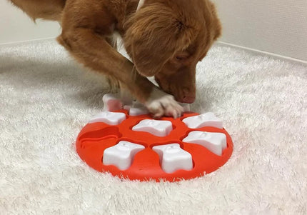 Nina Ottosson Dog Smart Level 1 Puzzle – Easy Interactive Treat-Dispensing Game, Durable Design