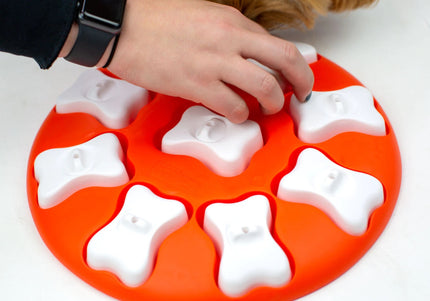 Nina Ottosson Dog Smart Level 1 Puzzle – Easy Interactive Treat-Dispensing Game, Durable Design