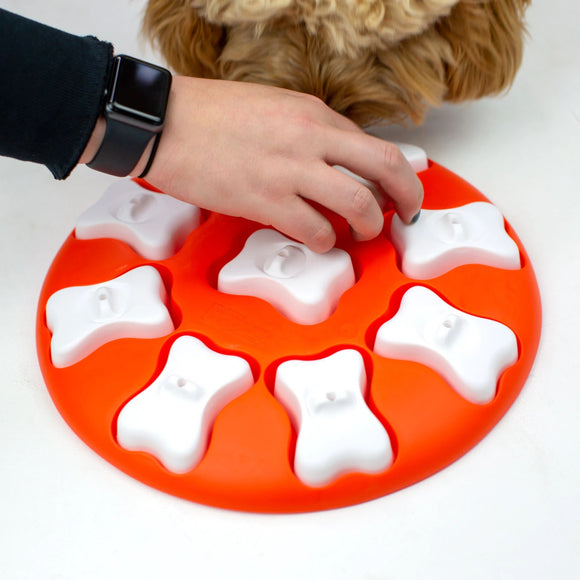 Nina Ottosson Dog Smart Level 1 Puzzle – Easy Interactive Treat-Dispensing Game, Durable Design