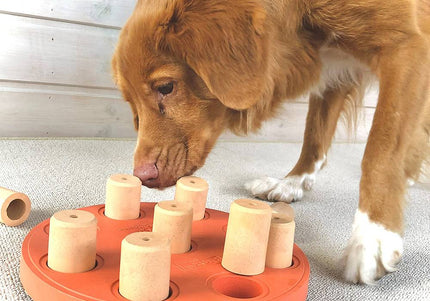 Nina Ottosson Dog Smart Level 1 Puzzle Game – Durable Composite, Easy Interactive Design in Orange