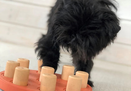 Nina Ottosson Dog Smart Level 1 Puzzle Game – Durable Composite, Easy Interactive Design in Orange