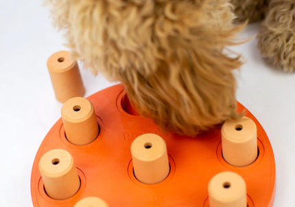 Nina Ottosson Dog Smart Level 1 Puzzle Game – Durable Composite, Easy Interactive Design in Orange