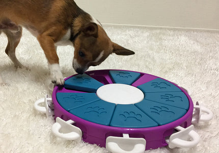 Nina Ottosson Dog Twister Level 3 – Interactive Logic Puzzle Toy, Advanced Challenge Design