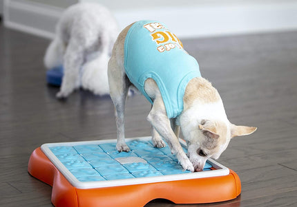 Nina Ottosson Dog Challenge Slider Level 3 – Interactive Smart Puzzle Toy, Advanced Mental Stimulation