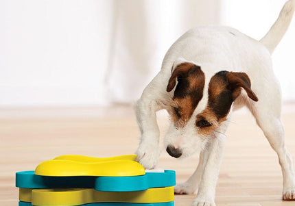 Nina Ottosson Dog Tornado Puzzle – Interactive Rotating Treat Game, Level 2 Challenge