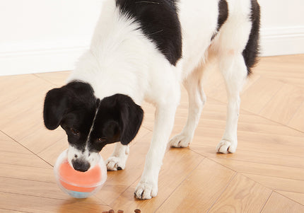 Nina Ottosson Dog Rumble Puzzle – Interactive Treat Ball, Level 1, Orange, Engaging Play