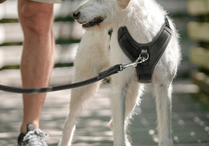 Julius-K9 IDC Longwalk Light Harness Night Camo – Lightweight Trekking Harness with GPS Pocket, Size M