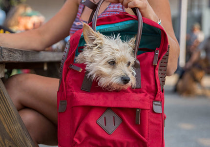 Kurgo Nomad Carrier Red – Comfortable Backpack Design, Lightweight and Secure Travel Solution