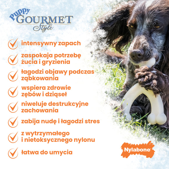 Nylabone Puppy Gourmet Wishbone S – Durable Dog Chew with Intense Peanut Butter Scent