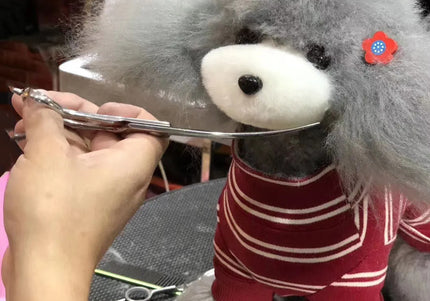 Mr. Jiang Teddy Full Body Replacement Hair – Realistic Gray with White Muzzle, Easy to Attach