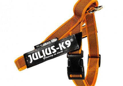 Julius-K9 IDC Color&Gray Belt Harness Orange – Adjustable Lightweight Mini-Mini Dog Harness